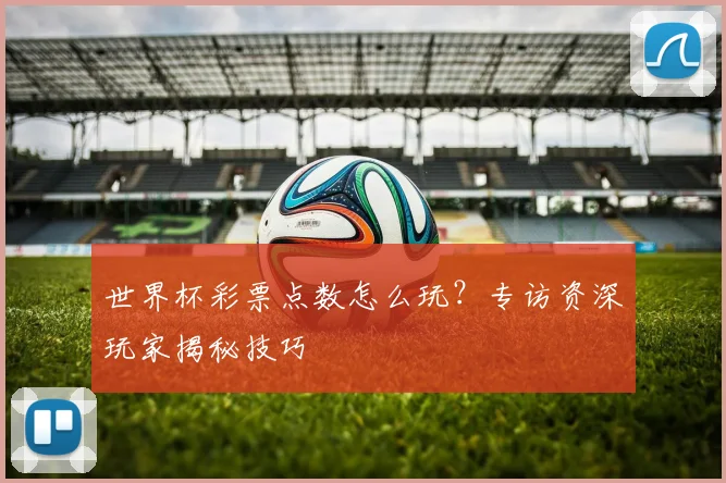 世界杯彩票点数怎么玩？专访资深玩家揭秘技巧