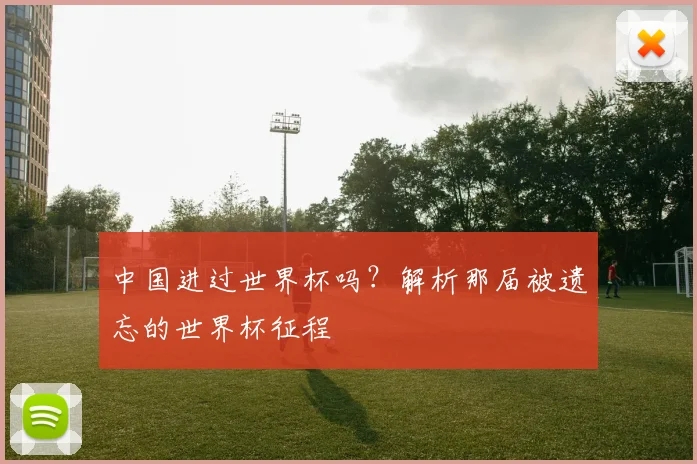 中国进过世界杯吗?解析那届被遗忘的世界杯征程