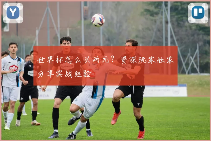 世界杯怎么买两元？资深玩家独家分享实战经验