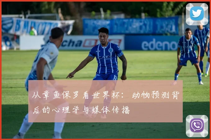 从章鱼保罗看世界杯：动物预测背后的心理学与媒体传播