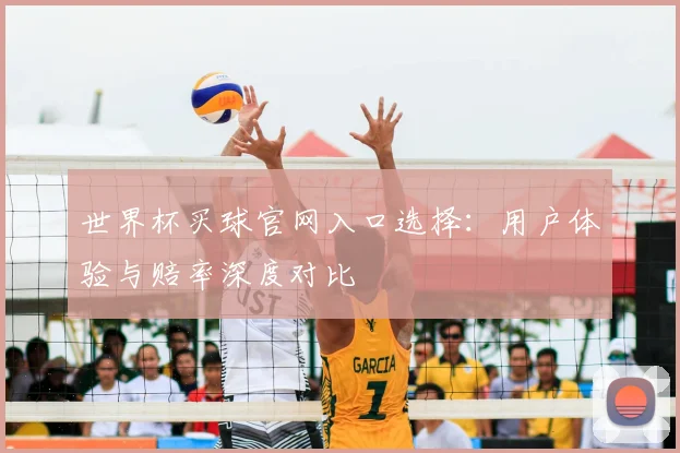 世界杯买球官网入口选择：用户体验与赔率深度对比