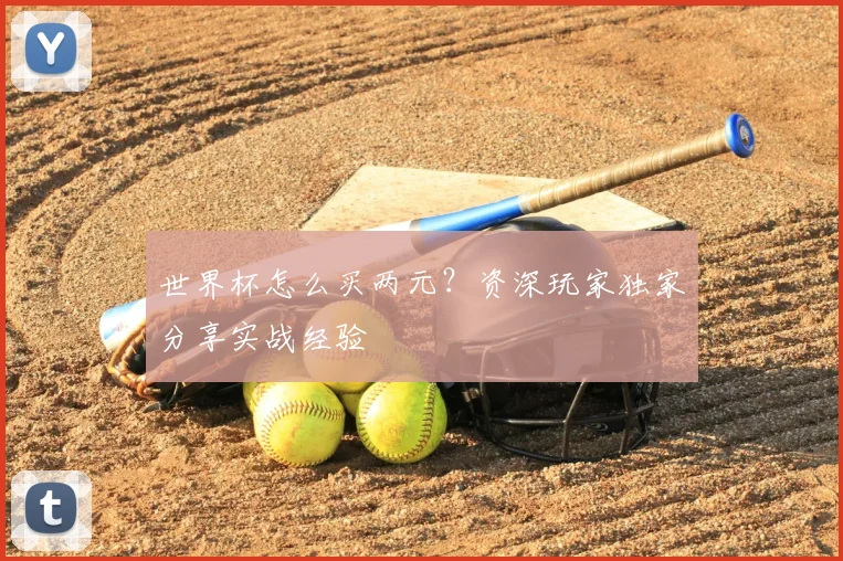 世界杯怎么买两元?资深玩家独家分享实战经验