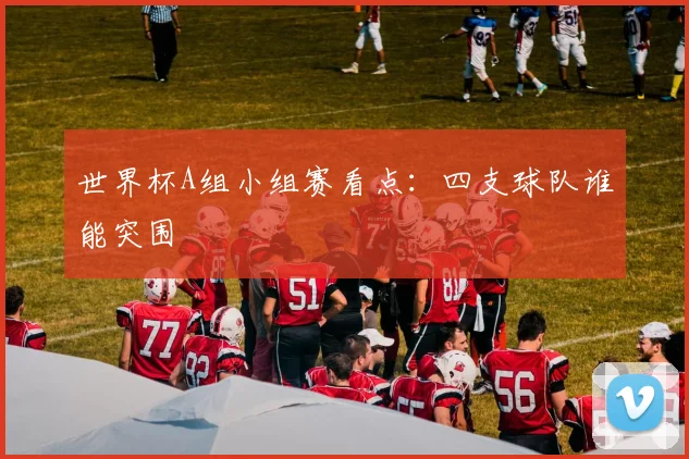 世界杯A组小组赛看点:四支球队谁能突围