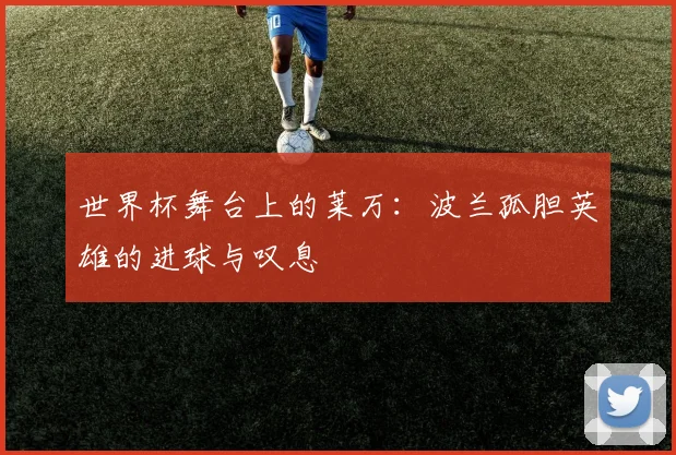 世界杯舞台上的莱万:波兰孤胆英雄的进球与叹息